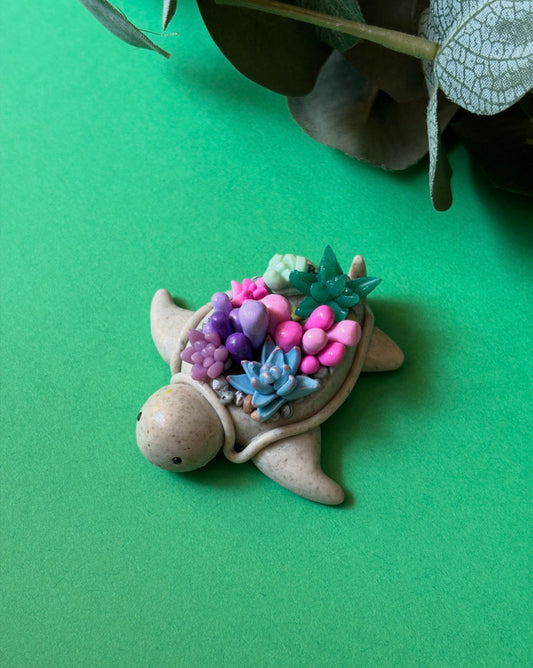 Succulent Turtle Desk Buddy