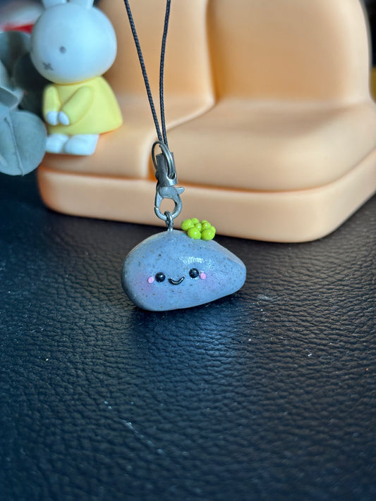 Succulent Rock Buddy
