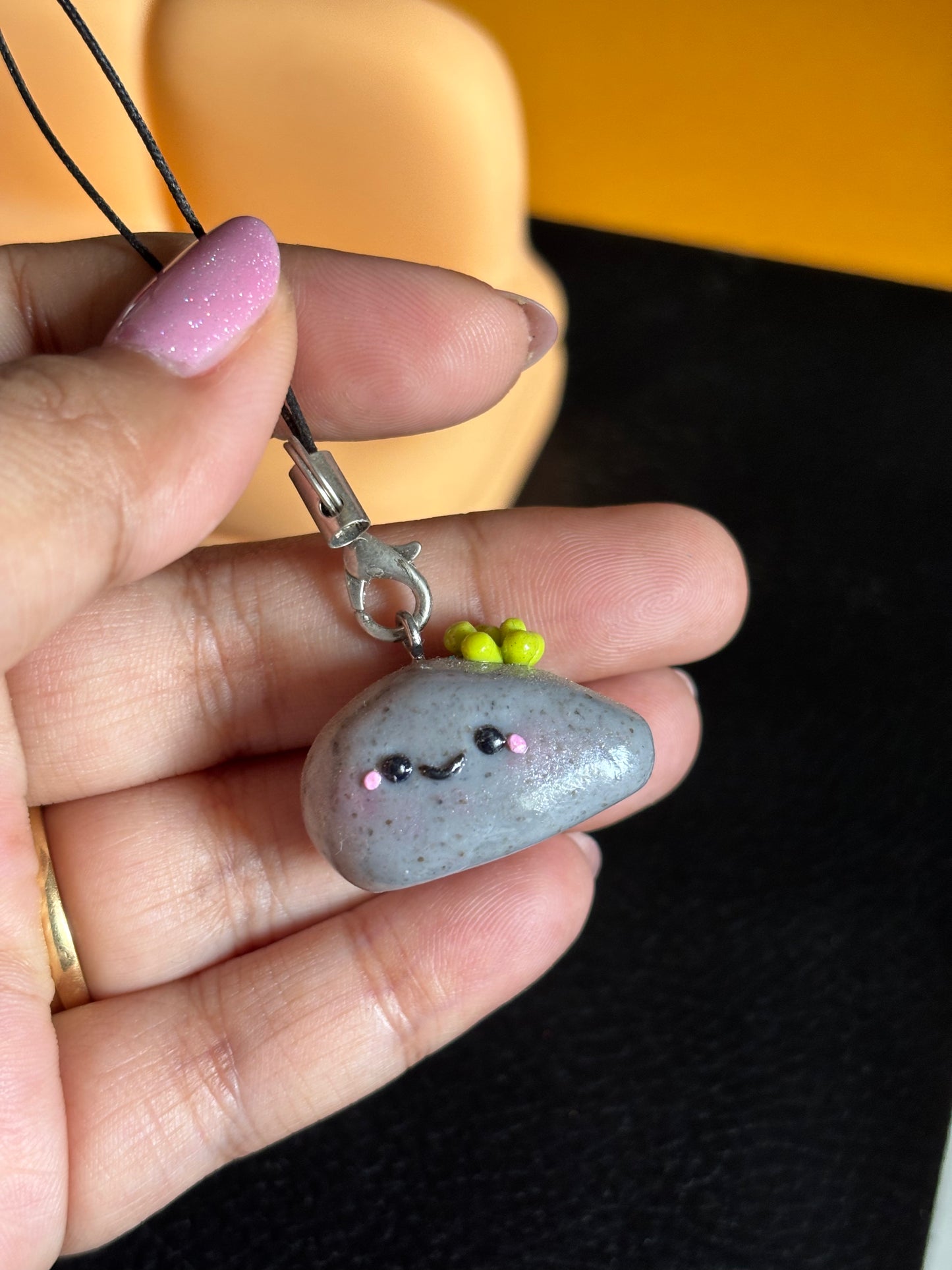Succulent Rock Buddy