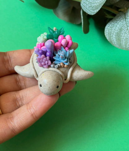 Succulent Turtle Desk Buddy